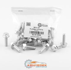 M8 X 25 mm Flanşlı Cıvata (500 Adet)