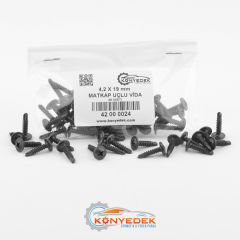4,2 X 19 mm Matkap Uçlu - Akıllı Vida (1000 Adet)