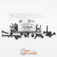 3,9 X 22 mm Matkap Uçlu - Akıllı Vida (1000 Adet)